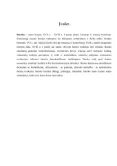 Baroko meno kryptis Lietuvoje 2 puslapis