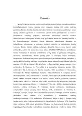 Baroko meno kryptis Lietuvoje 3 puslapis