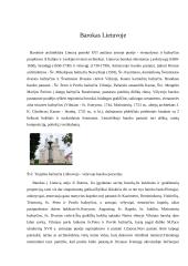 Baroko meno kryptis Lietuvoje 6 puslapis