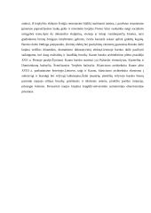 Baroko meno kryptis Lietuvoje 7 puslapis