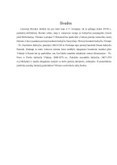 Baroko meno kryptis Lietuvoje 8 puslapis