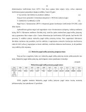 Atskaitymai nuo pajamų pagal Lietuvos Respublikos miškų įstatymą 20 puslapis