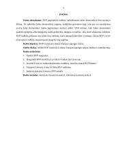 BVP Lietuvoje ir kitose Europos sąjungos šalyse 2 puslapis