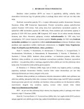 BVP Lietuvoje ir kitose Europos sąjungos šalyse 3 puslapis