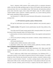 BVP Lietuvoje ir kitose Europos sąjungos šalyse 4 puslapis