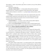 BVP Lietuvoje ir kitose Europos sąjungos šalyse 5 puslapis