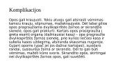Gastritas. Opaligė. Jų etiologija, klinikiniai požymiai  10 puslapis