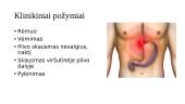 Gastritas. Opaligė. Jų etiologija, klinikiniai požymiai  9 puslapis
