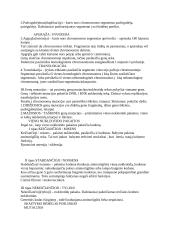 Konspektas: mutacijos 3 puslapis