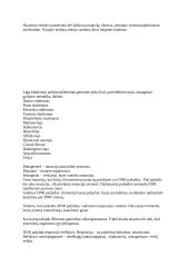 Konspektas: mutacijos 4 puslapis