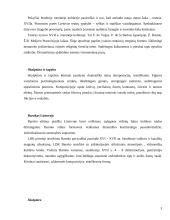 Baroko dailė. Barokas Lietuvoje 3 puslapis