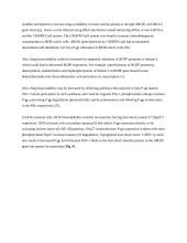 Farmakologijos esė anglų kalba: ABC transporteriai 9 puslapis