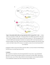 Farmakologijos esė anglų kalba: ABC transporteriai 10 puslapis