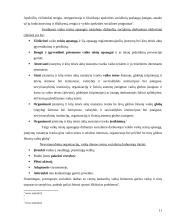 Beglobiai vaikai 10 puslapis