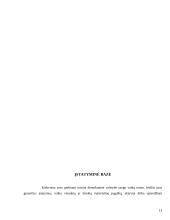 Beglobiai vaikai 12 puslapis