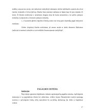 Beglobiai vaikai 16 puslapis