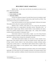 Beglobiai vaikai 3 puslapis