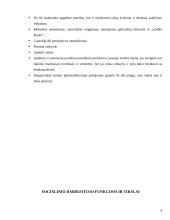 Beglobiai vaikai 8 puslapis