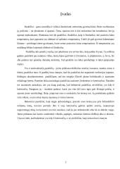 Beketeriai paukščiai 2 puslapis