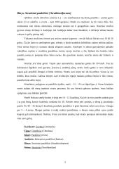 Beketeriai paukščiai 5 puslapis