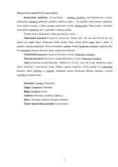 Beketeriai paukščiai 7 puslapis