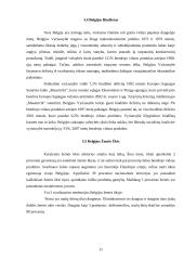 Belgijos karalystės ekonominė situacija 11 puslapis