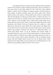 Belgijos karalystės ekonominė situacija 12 puslapis