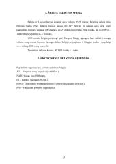 Belgijos karalystės ekonominė situacija 13 puslapis