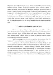 Belgijos karalystės ekonominė situacija 15 puslapis