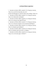 Belgijos karalystės ekonominė situacija 20 puslapis