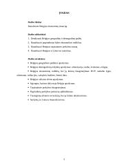 Belgijos karalystės ekonominė situacija 3 puslapis