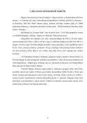 Belgijos karalystės ekonominė situacija 4 puslapis