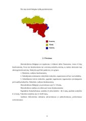 Belgijos karalystės ekonominė situacija 6 puslapis
