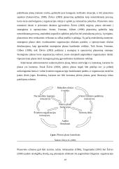 Ikimokyklinės įstaigos administracijos funkcijų pasiskirstymo reglamentavimas: situacija ir galimybės 17 puslapis