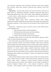 Ikimokyklinės įstaigos administracijos funkcijų pasiskirstymo reglamentavimas: situacija ir galimybės 18 puslapis