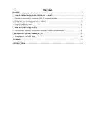 Bendras nacionalinis produktas ir jo apskaita 2 puslapis