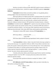 Bendras nacionalinis produktas ir jo apskaita 11 puslapis