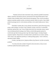 Bendras nacionalinis produktas ir jo apskaita 3 puslapis