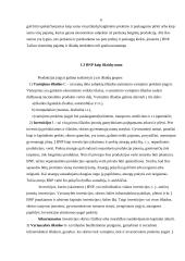 Bendras nacionalinis produktas ir jo apskaita 6 puslapis