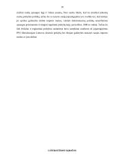 Bendrasis susitarimas dėl muitų ir prekybos (GATT) 18 puslapis