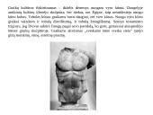 Antikinė Graikijos skulptūra 6 puslapis