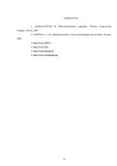 BVP samprata ir bendrasis Lietuvos produktas 15 puslapis