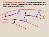 Elektros reiškiniai 16 puslapis