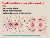Elektros reiškiniai 18 puslapis