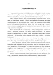 Bendravimas organizacijoje 12 puslapis