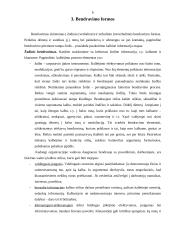 Bendravimas organizacijoje 5 puslapis