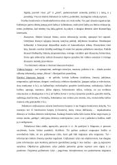 Bendravimas organizacijoje 6 puslapis