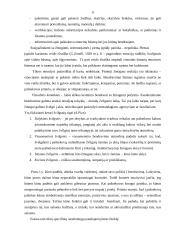 Bendravimas organizacijoje 8 puslapis