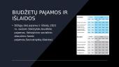 Lietuvos 2021 metų biudžetas 3 puslapis