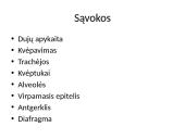 Dujų apykaita organizmuose 2 puslapis